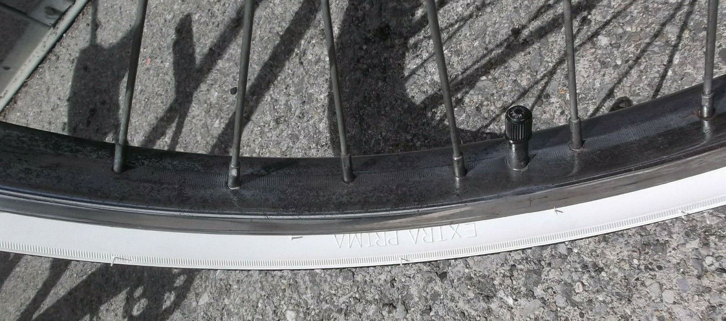 1965 Vintage Chicago Schwinn Twinn Tandem Dleuxe Bicycle 5 speed refurbished