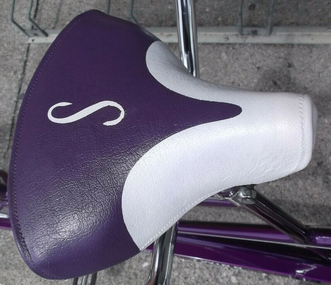 1965 Vintage Chicago Schwinn Twinn Tandem Dleuxe Bicycle 5 speed refurbished